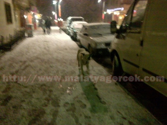 Malatya'da Kar Gezintisi - 5 Ocak 2013 4