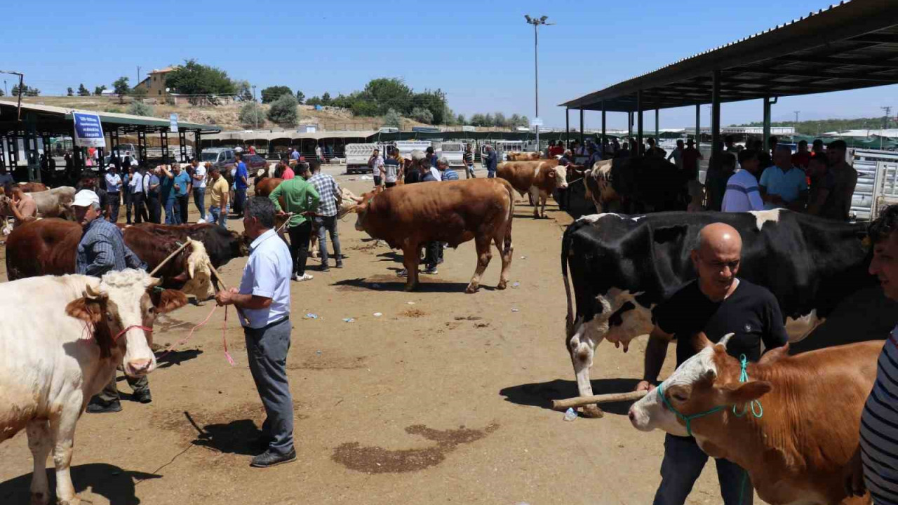 Bayramın 1.günü canlı hayvan pazarında hareketlilik sürüyor