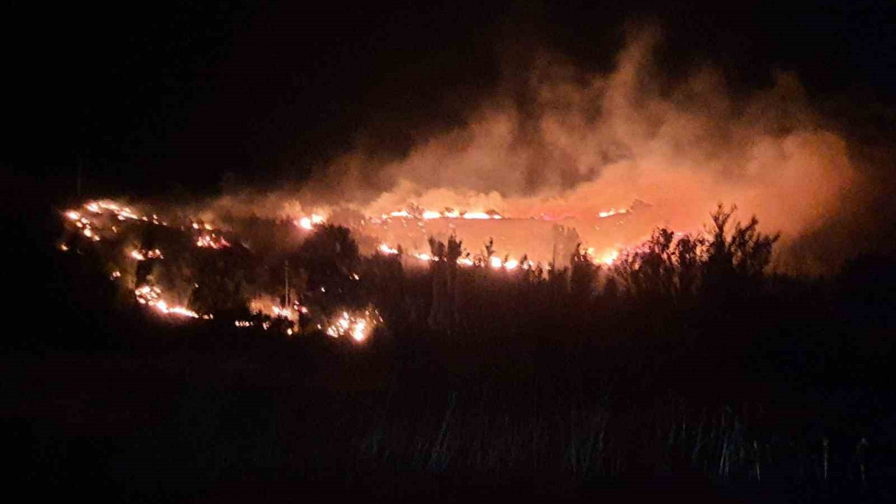 Malatya'da meyve bahçelerinin bulunduğu dağlık alanda yangın