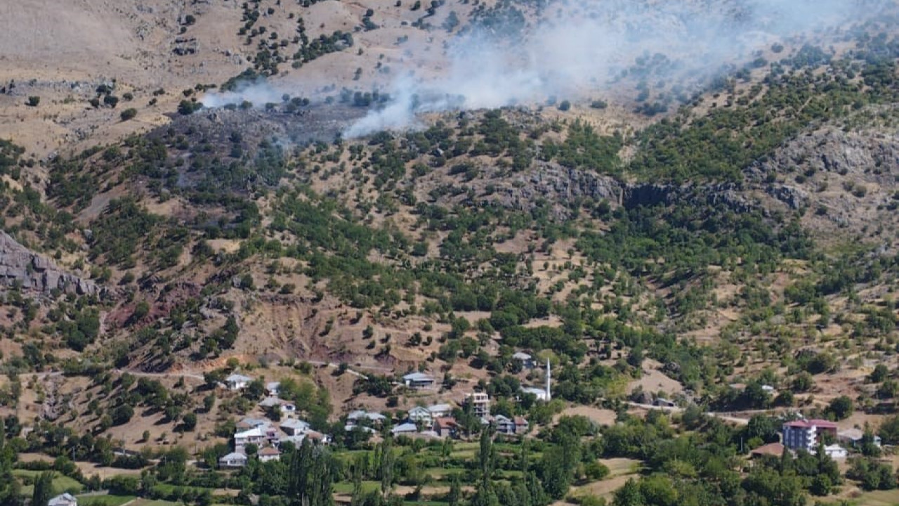 Malatya'da orman yangını, 1 yaralı