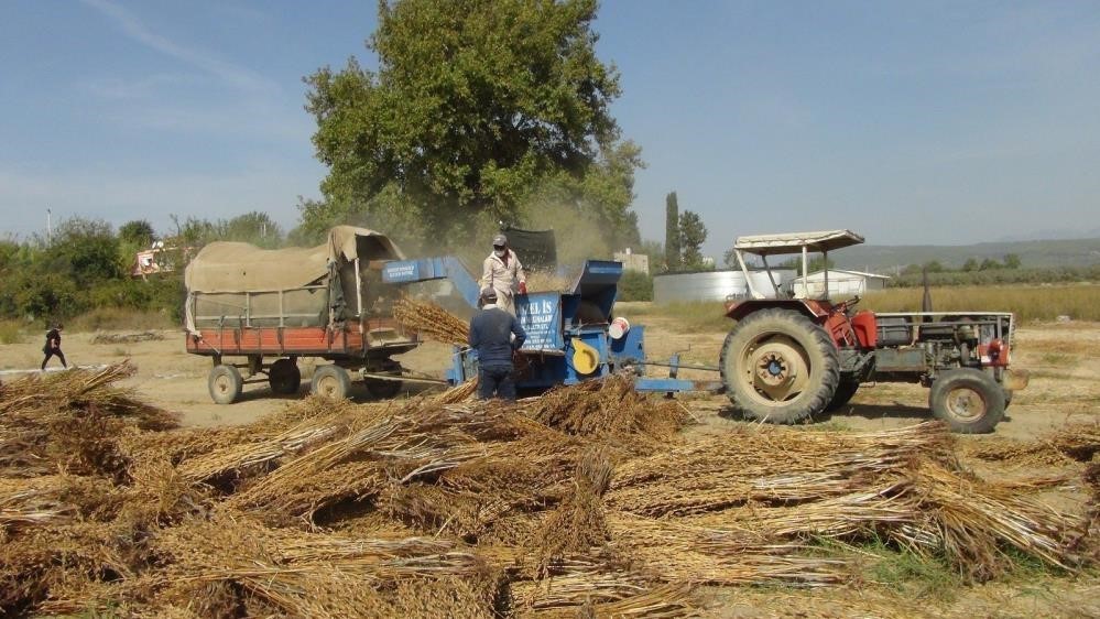 Çiftçiler Dikkat: ÇKS'ye Son Başvuru Tarihi Verildi