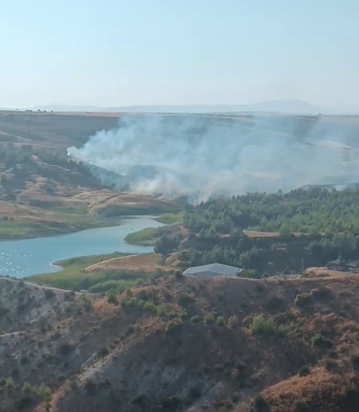 Anız Yangını Ağaçlık Alana Ulaştı