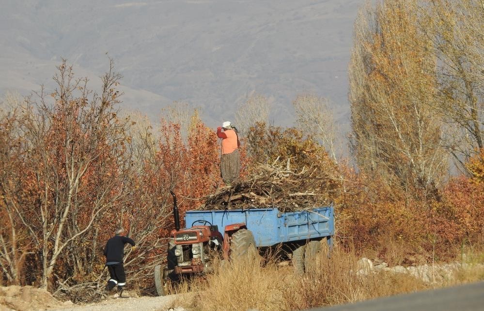Köylerde Kışlık Odunlar Toplanmaya Başladı
