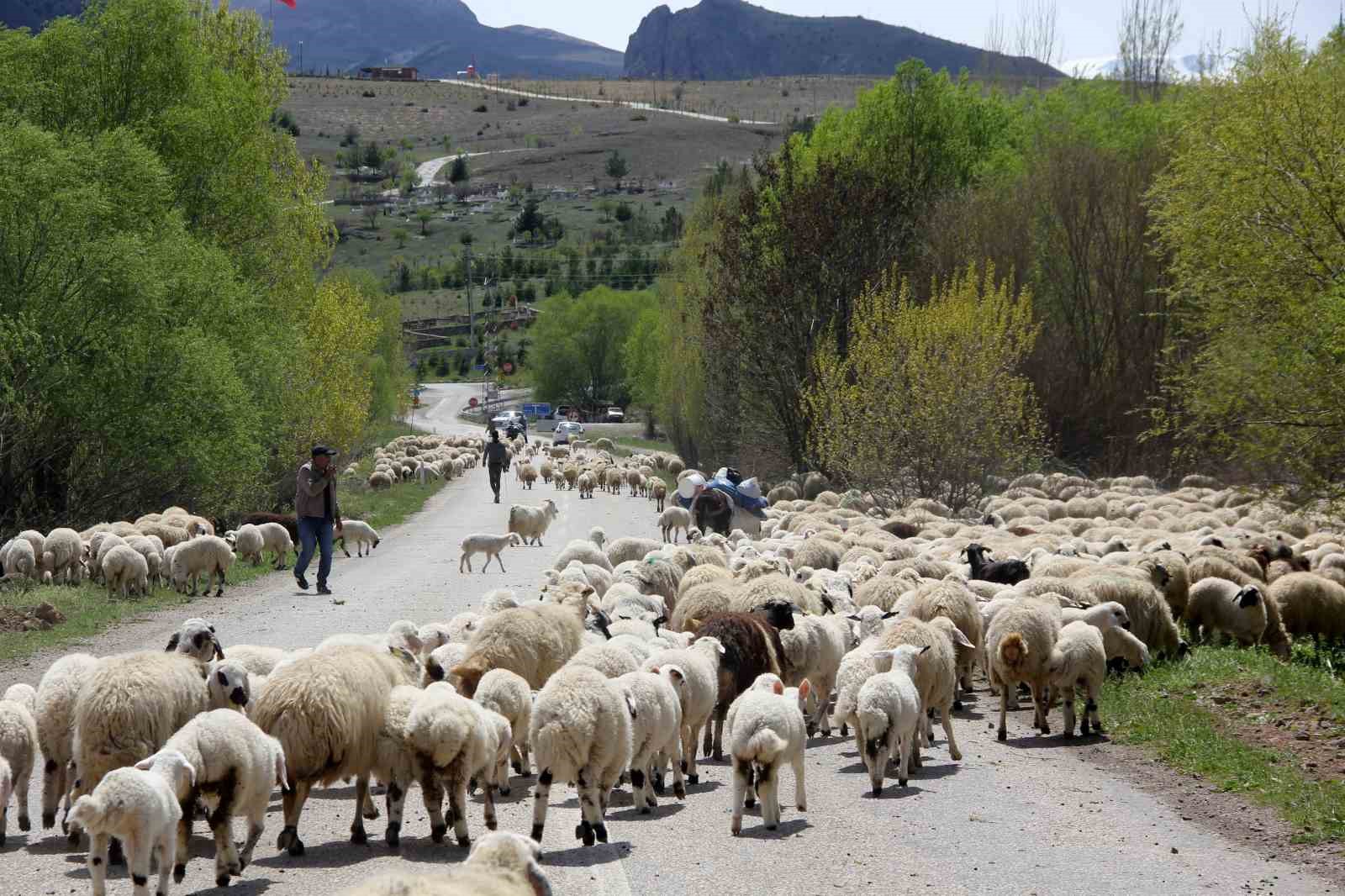 Yayla Mesaisi Biten Göçerler Dönüş Yoluna Koyuldu