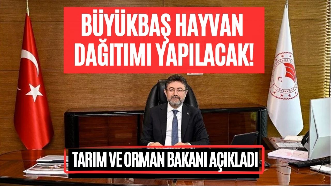 Bakan Yumaklı Talimat Verdi! Büyükbaş Hayvan Dağıtımı Ne Zaman Yapılacak?