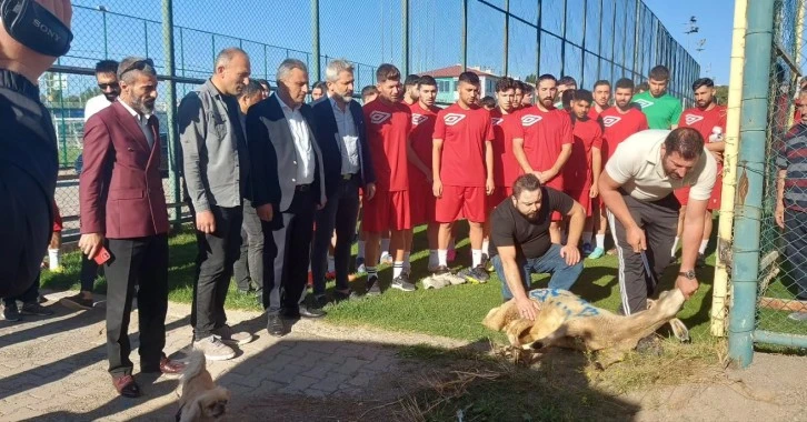 Sivas Dört Eylül Spor, Sezonu Kurban Keserek Başlattı