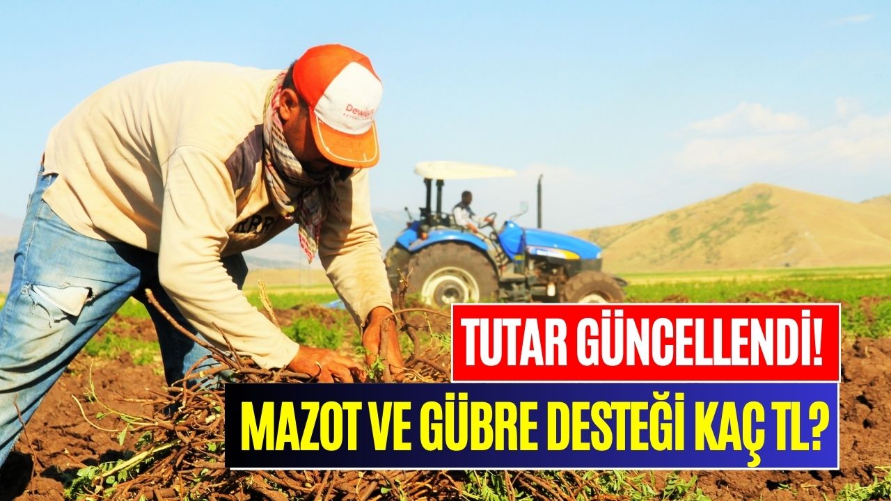 Çiftçiler Bu Habere Çok Sevinecek! Ekim’de Yatacak Mazot ve Gübre Desteğine Zam Geldi!