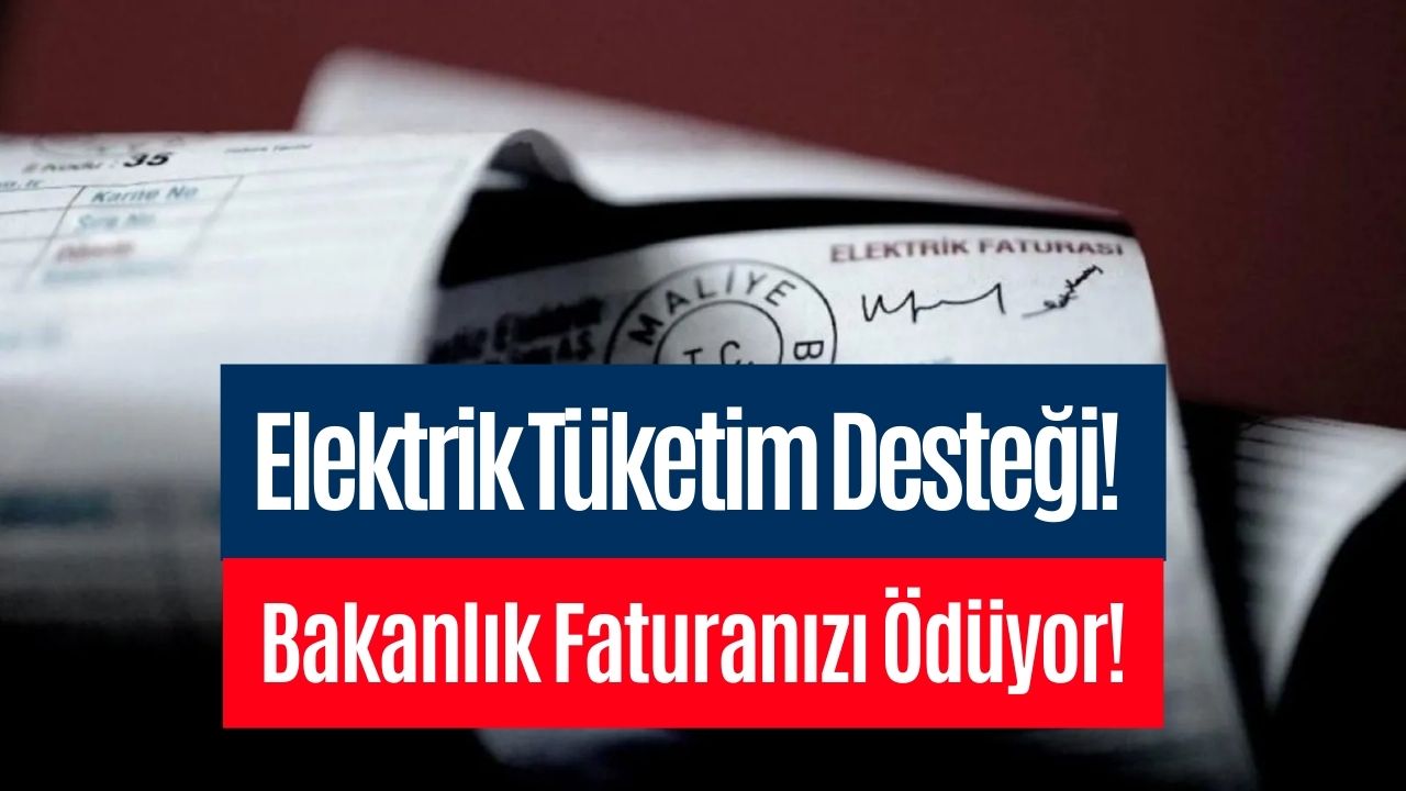 Elektrik Faturası Yüksek Gelen Başvursun! Bakanlık Başvuranın Faturasını Ödüyor