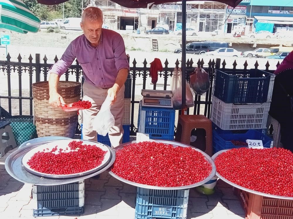 Vitamin Dolu Kızılcık Tezgahlara Çıktı