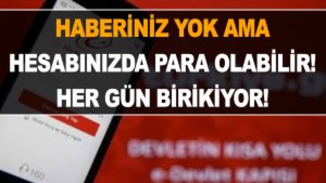 Kimsenin ruhu duymuyor! Kimsenin haberi yok ama sürekli para birikiyor! Hemen e-devlet’ten bakın! Paranızı alın