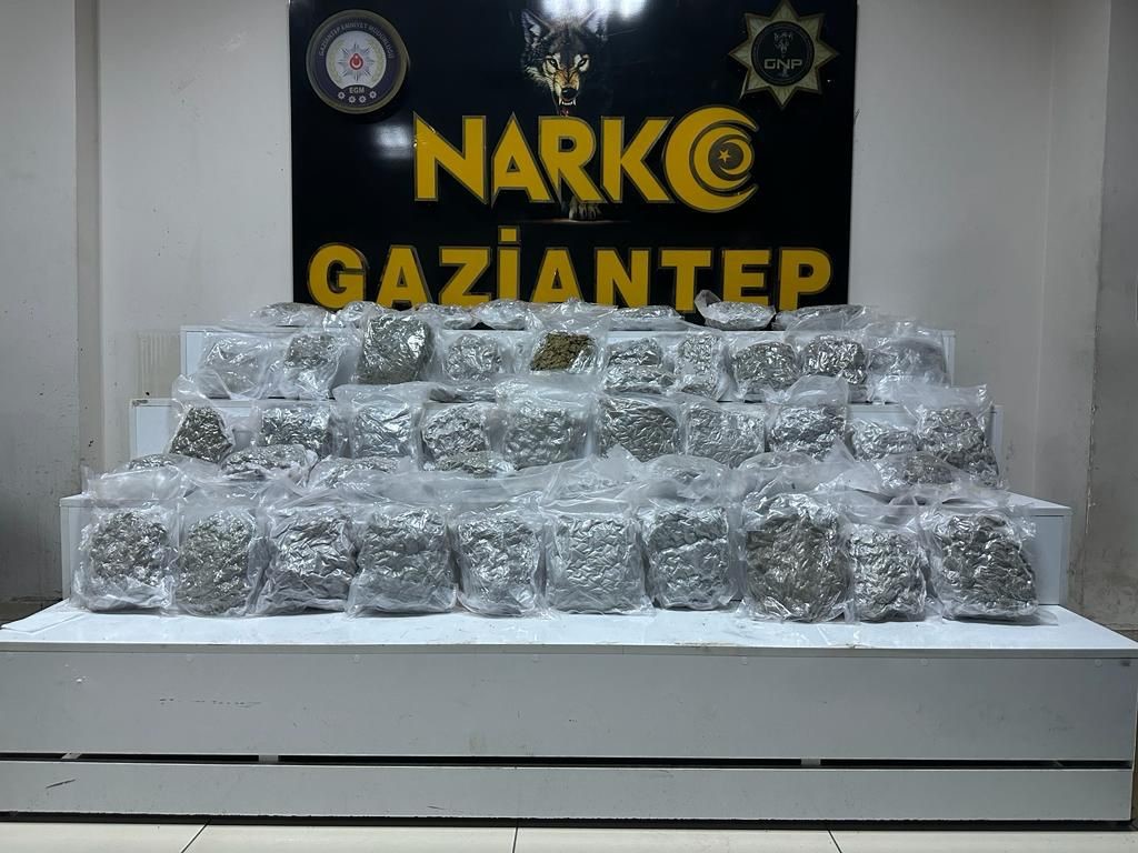 Gaziantep’te Aracın Bagajından 24 Kilo Skunk Çıktı
