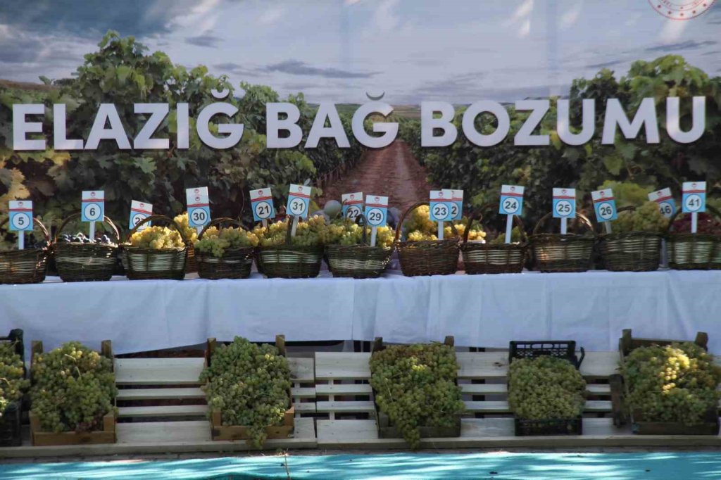 Elazığ’da 17’nci Bağ Bozumu Festivali Düzenlendi