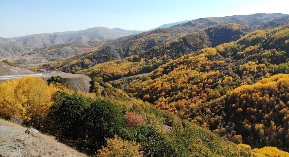 Erzincan Sonbaharın Güzelliklerini Yansıtıyor