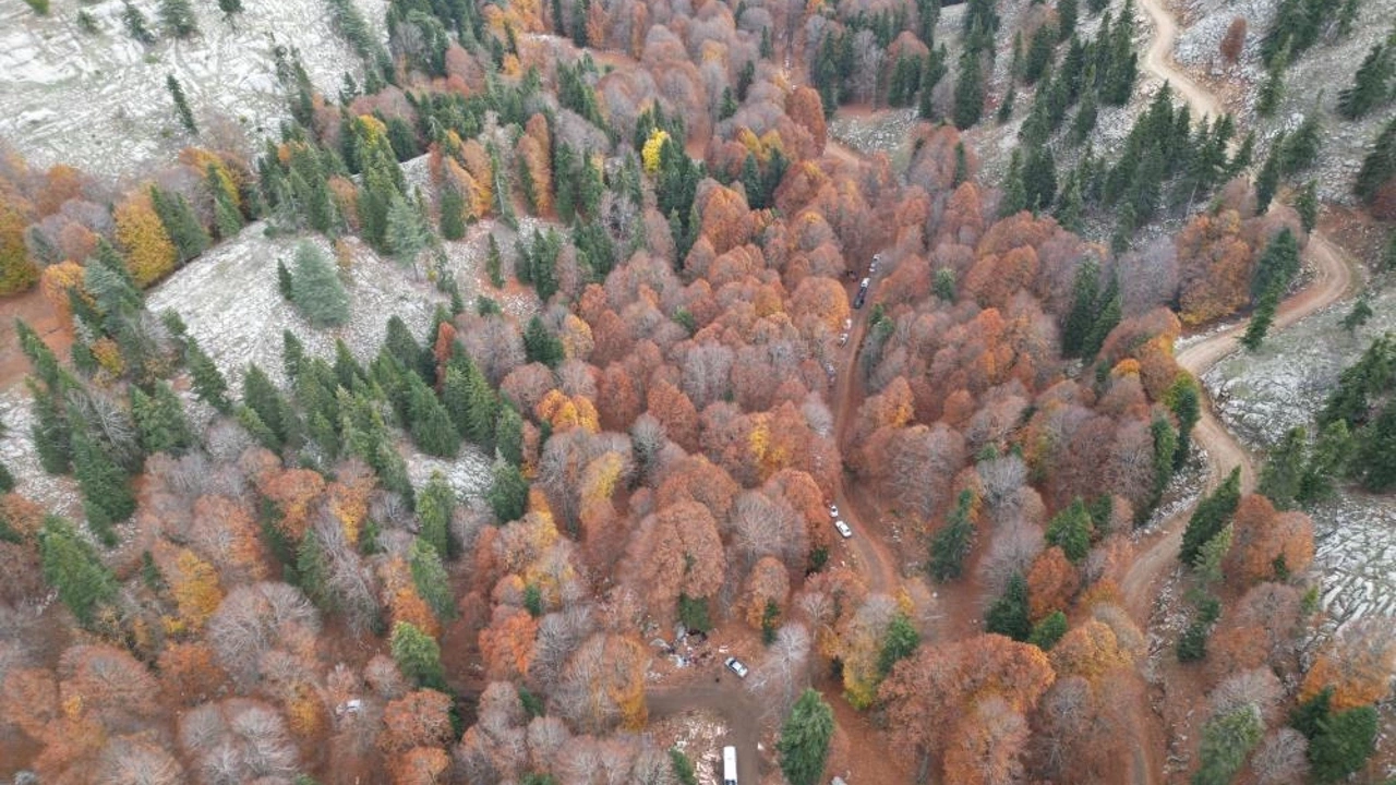 Bingöl’deki Ormanlık Alanlarda Renk Cümbüşü