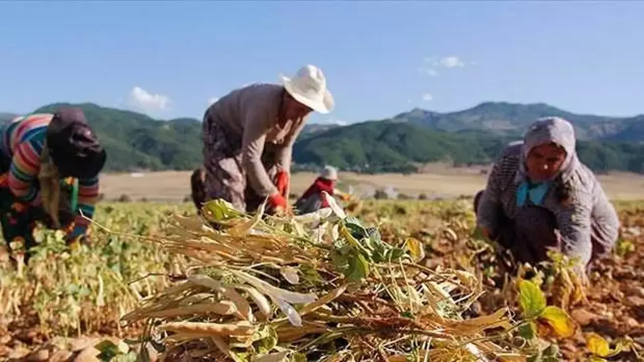 Emekli İkramiyesi 5 Bin TL'yi Çiftçi Alamadı