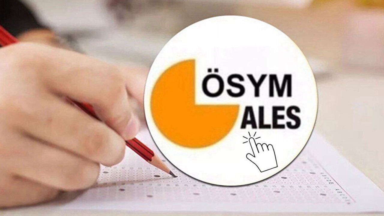 2023-ALES/3 Sonuçları Açıklandı, ALES/3 Sorgulama Ekranı