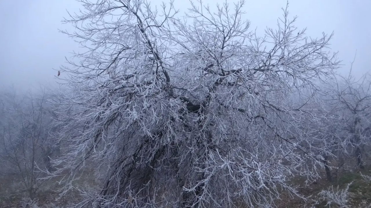 Malatya'dan Kartpostallık Manzaralar