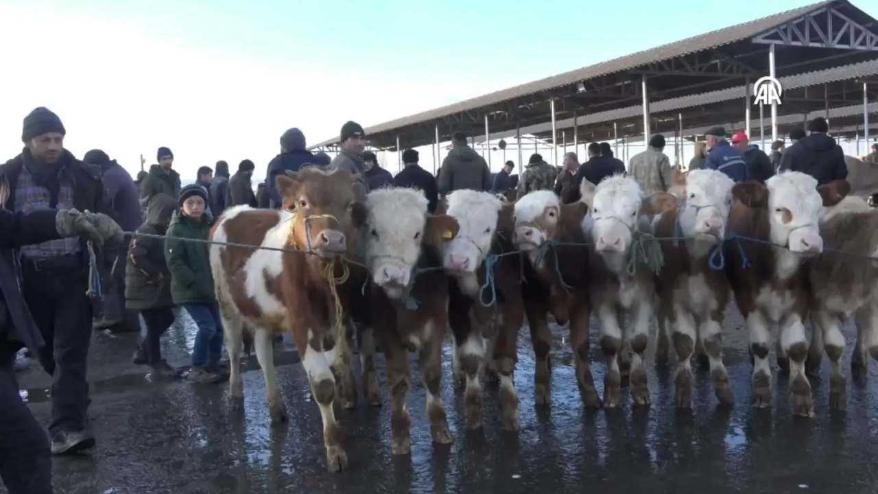 Şaptan Eser Kalmadı! Yeniden Açıldı