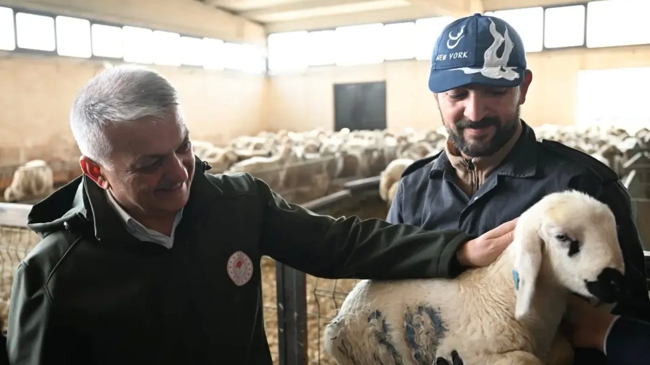Vali Ersin Yazıcı'dan Akçadağ Süt ve Et Üretimi Tesislerine Ziyaret