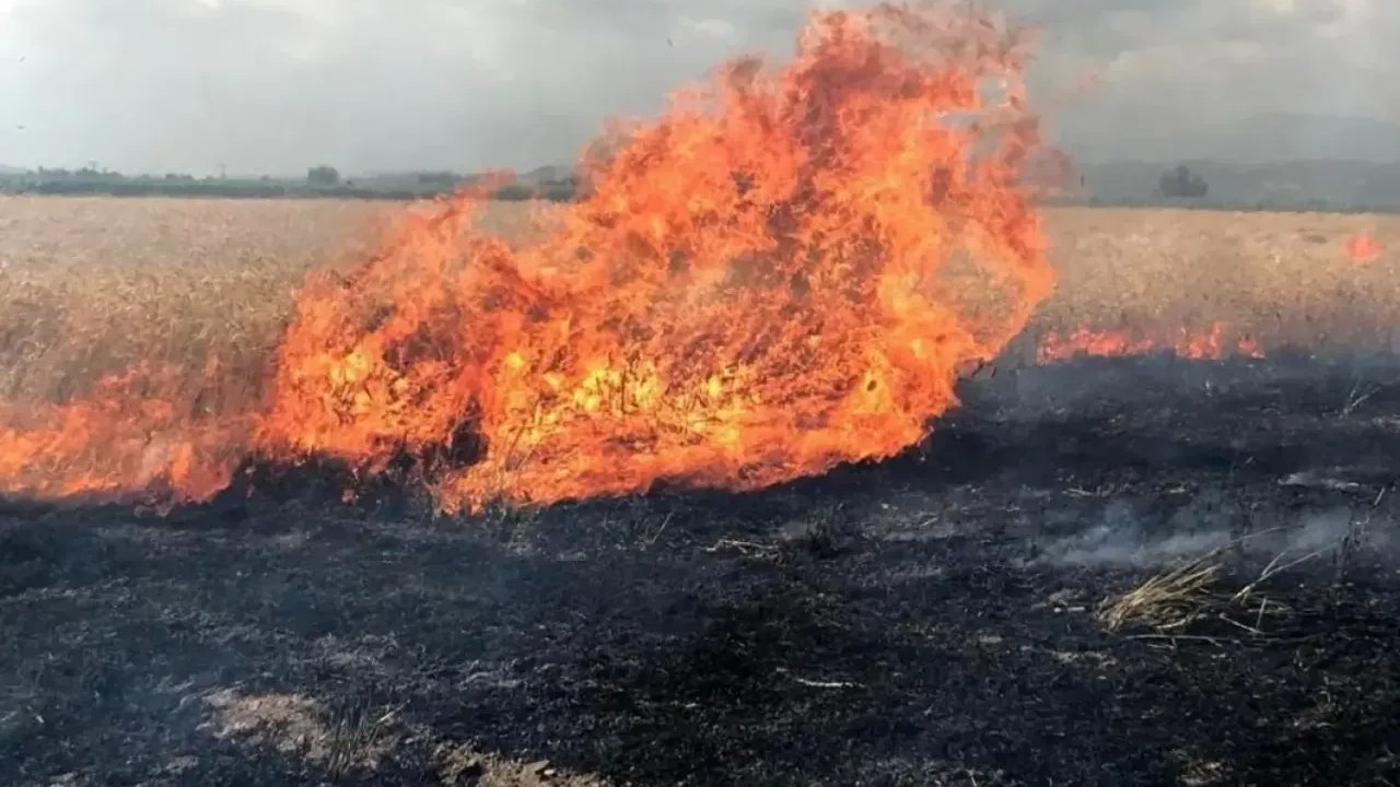 Doğanşehir'deki Yangın Hızla Kontrol Altına Alındı