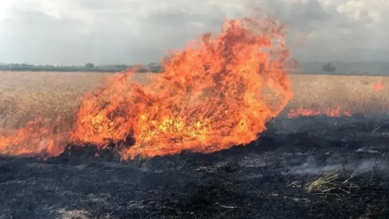 Doğanşehir Kaymakamlığı'ndan Anız Yangınlarıyla İlgili Uyarı