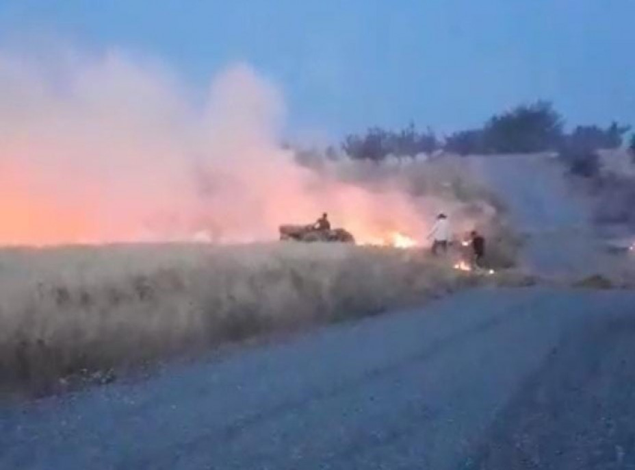 Malatya'da arpa ekili tarlada korkutan yangın