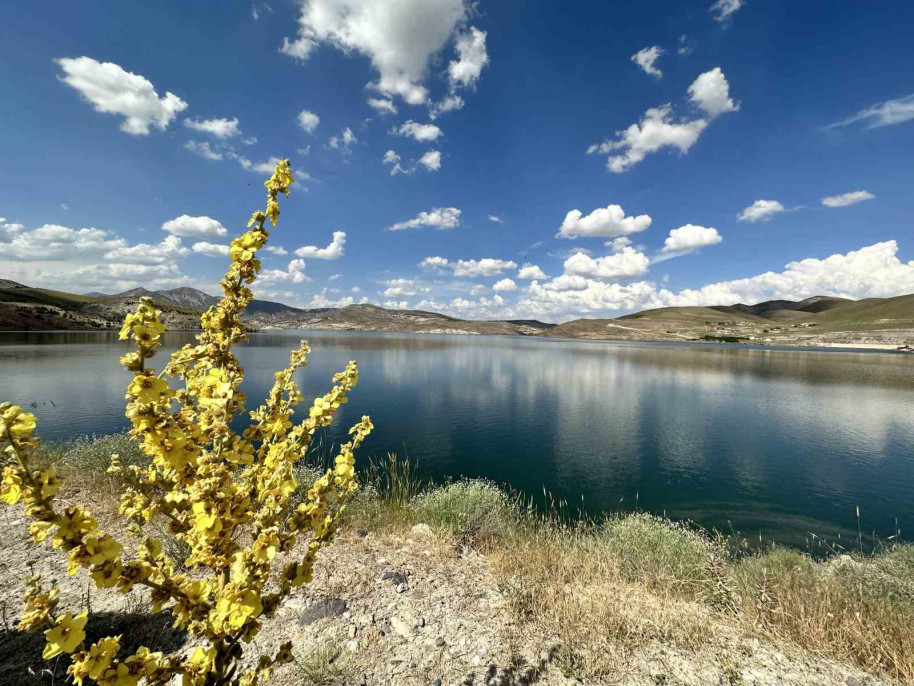 Malatya'da barajlar doldu, taştı