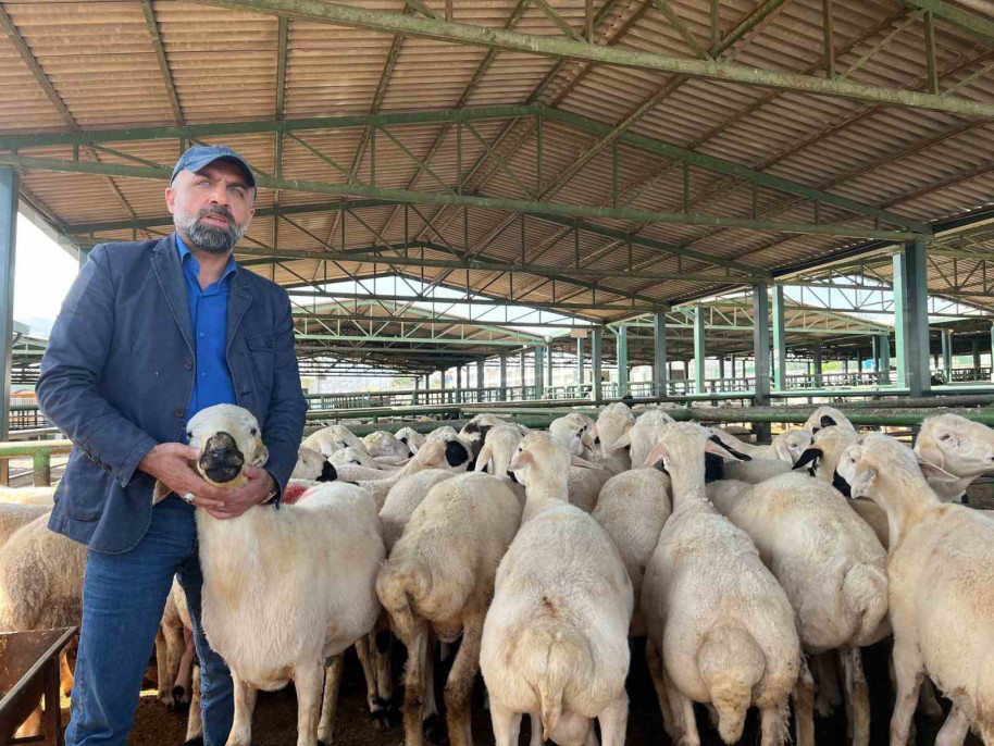 Malatya'da vatandaşlar kurbanlık almak için Arefe Günü'nü bekliyor