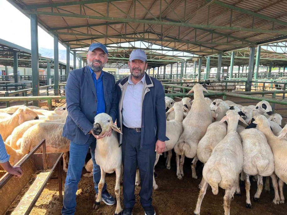 Malatya'da vatandaşlar kurbanlık almak için Arefe Günü'nü bekliyor