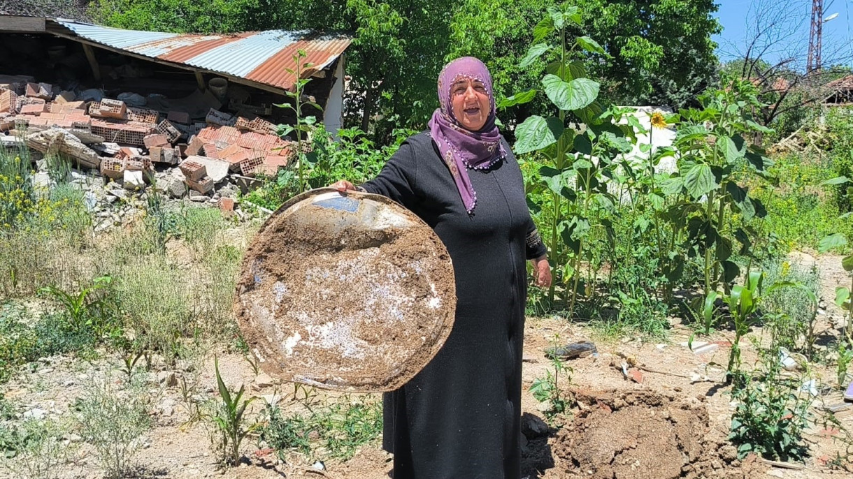 Yıkılan evlerinin enkazında yeşeren 'ayçiçekleri' ile nefes almaya çalışıyorlar