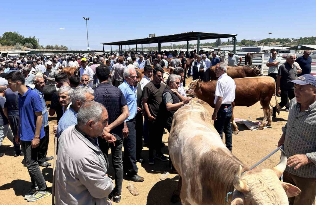 Malatya'da canlı Hayvan Pazarı'nda Arife günü yoğunluğu