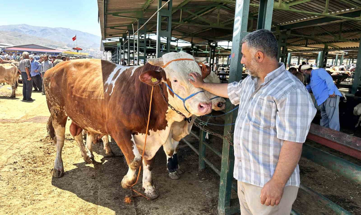 Malatya'da canlı Hayvan Pazarı'nda Arife günü yoğunluğu