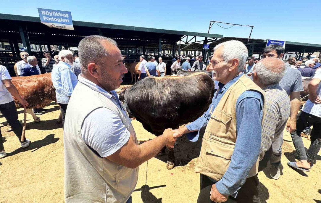 Malatya'da canlı Hayvan Pazarı'nda Arife günü yoğunluğu