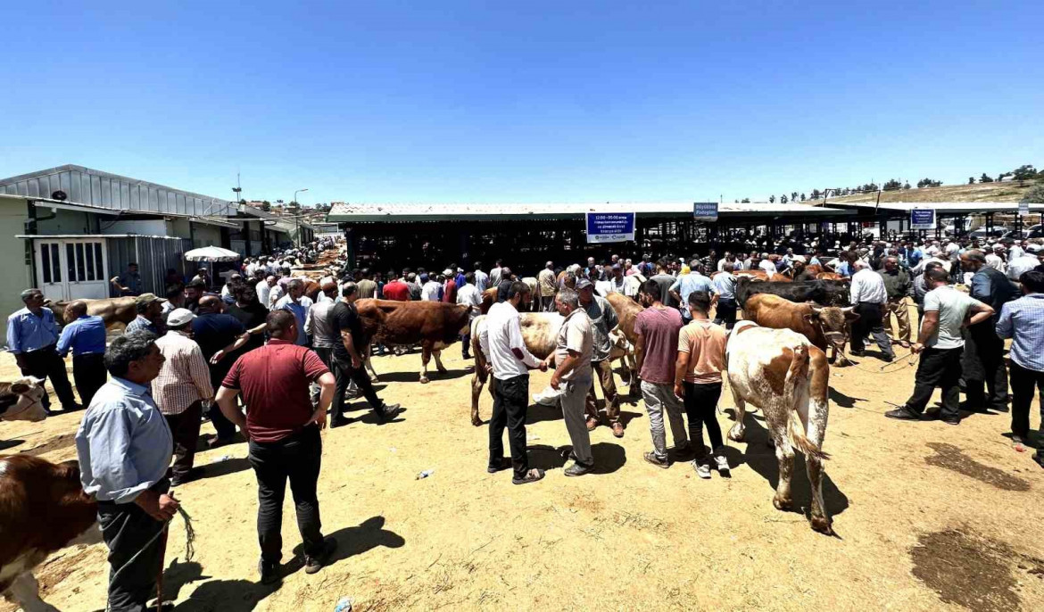 Malatya'da canlı Hayvan Pazarı'nda Arife günü yoğunluğu