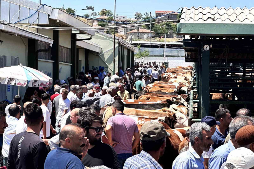 Malatya'da canlı Hayvan Pazarı'nda Arife günü yoğunluğu