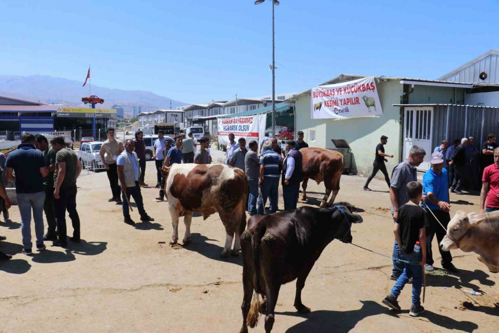 Bayramın 1.günü canlı hayvan pazarında hareketlilik sürüyor