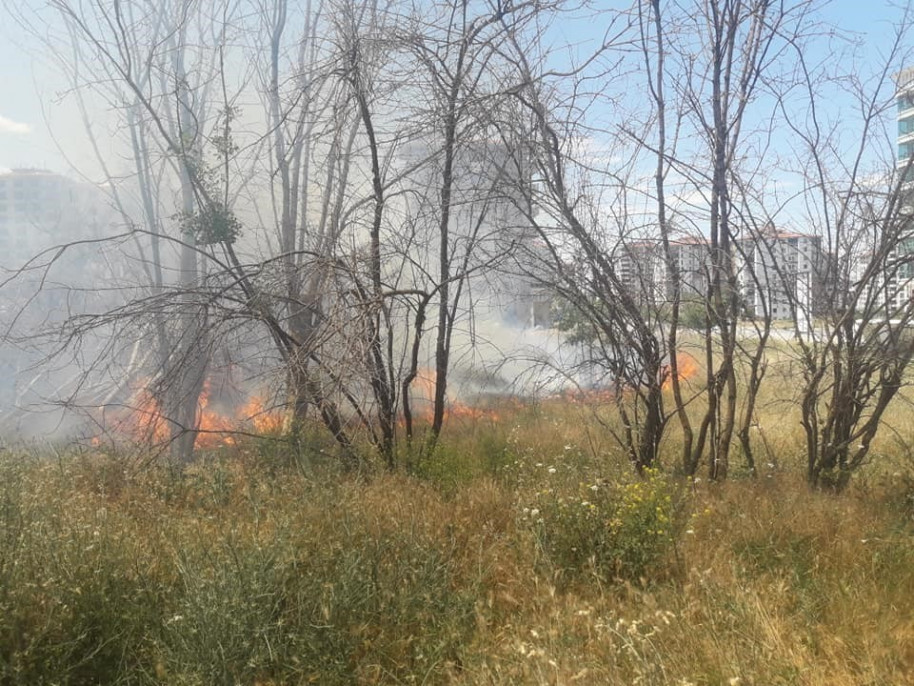 Malatya'da çıkan anız yangını söndürüldü