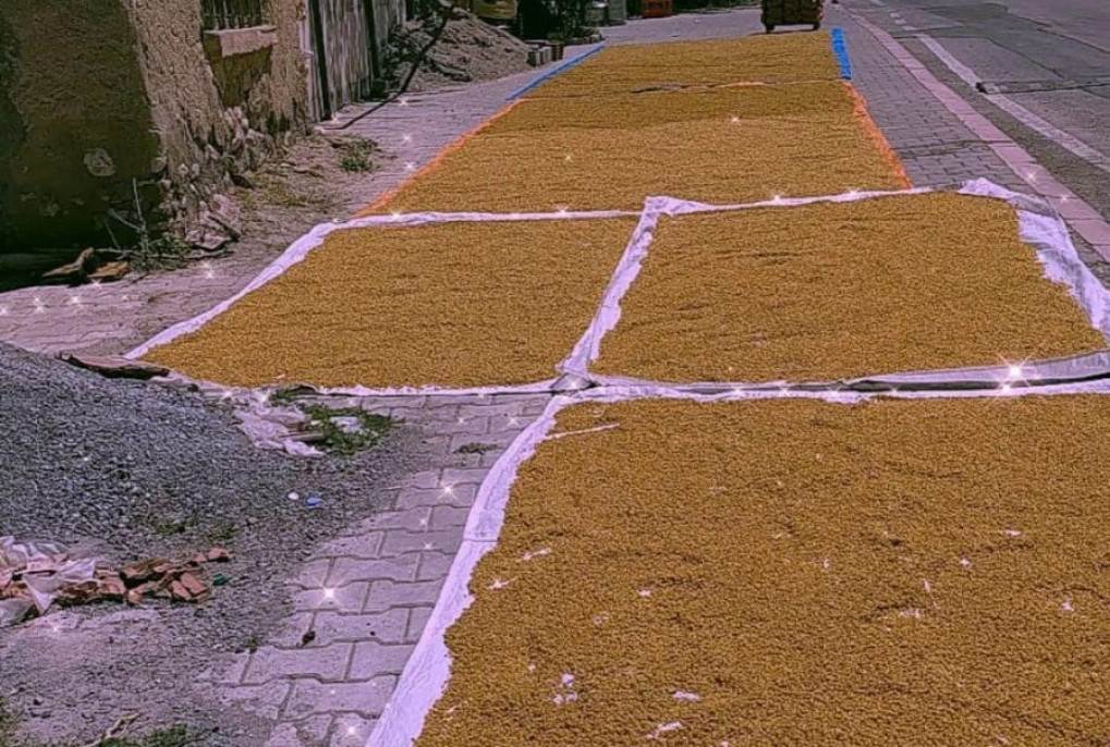 Malatya'da kışlık bulgur mesaisi başladı