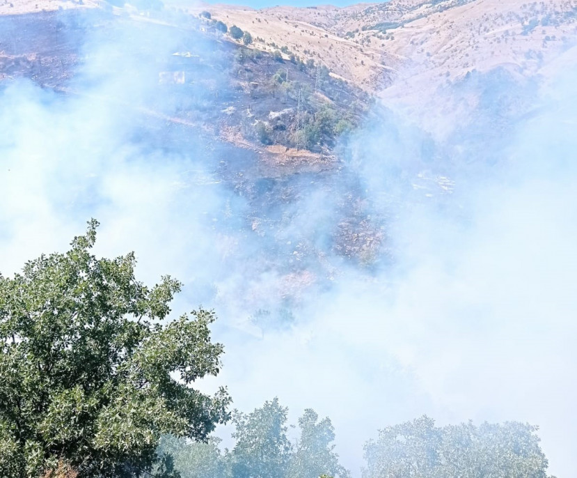 Malatya'da orman yangını