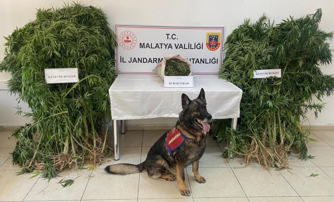 Malatya jandarmasından uyuşturucu ve kaçakçılığa geçit yok