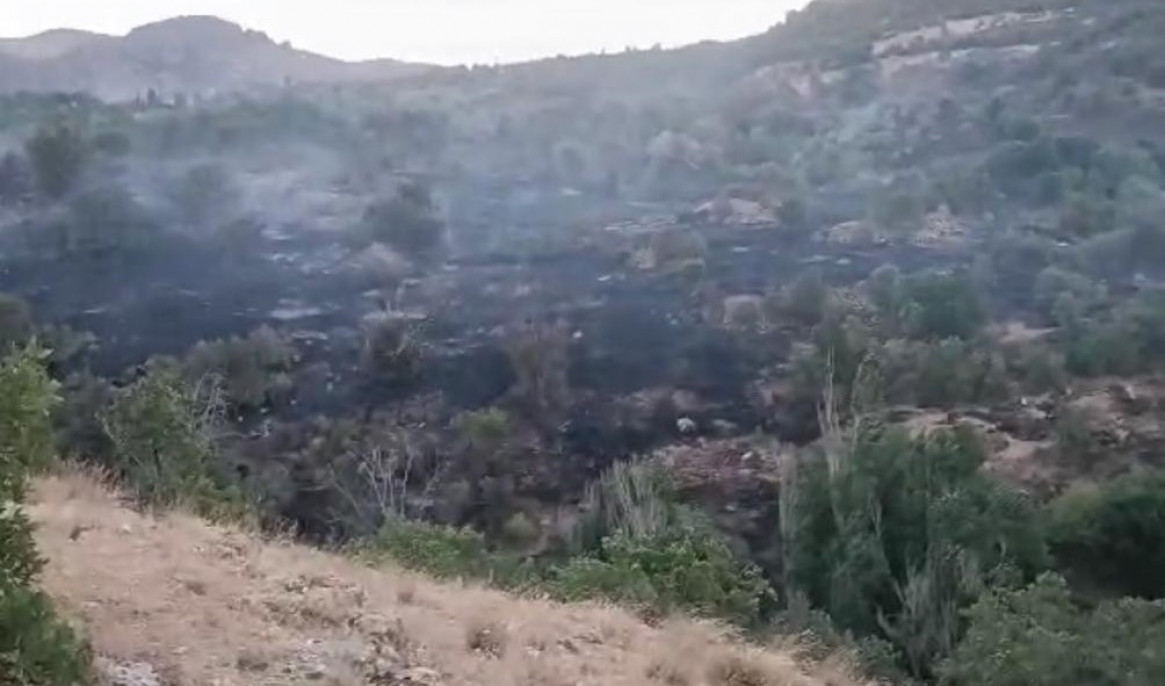 Malatya'daki yangın kontrol altına alındı