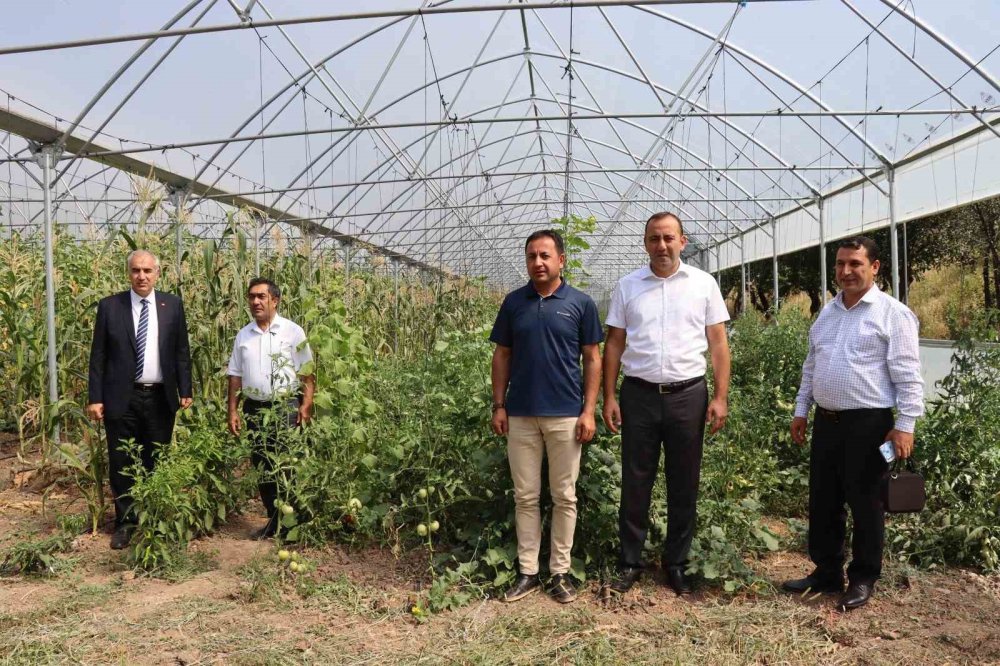 Oltu'da Çiftçinin Yüzü Gülüyor