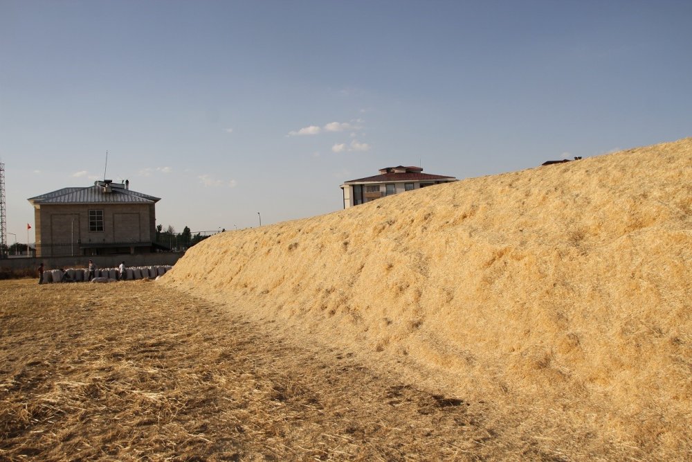 Malazgirt’te Saman Satışları Başladı