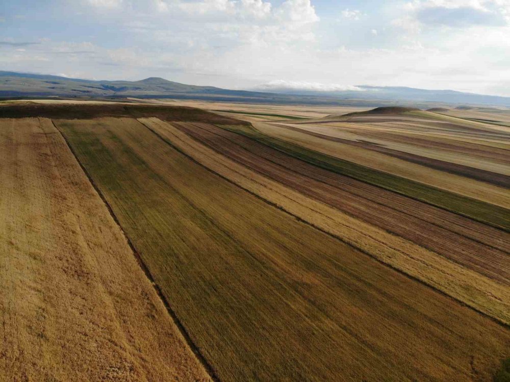 Kars’ta Sonbaharın Güzelliği