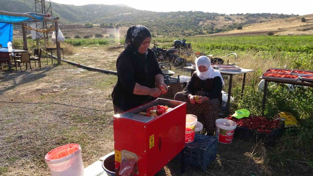 Salça Kadınların Gelir Kapısı Oldu