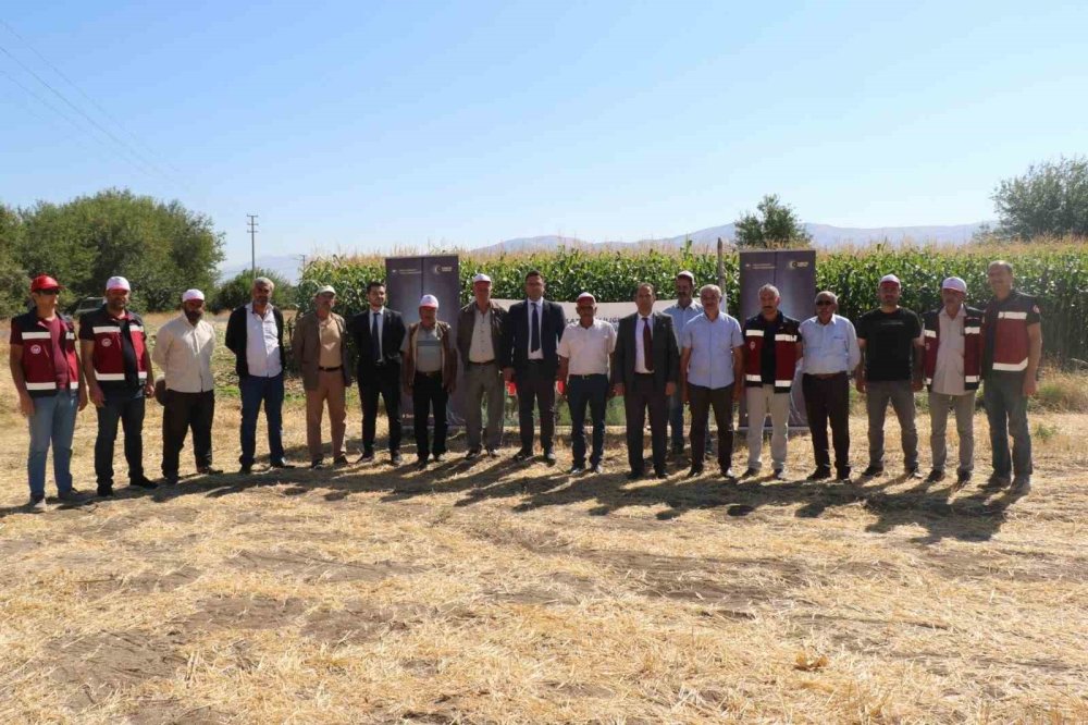 Elazığ’da Silajlık Mısır Hasat Etkinliği Gerçekleşti