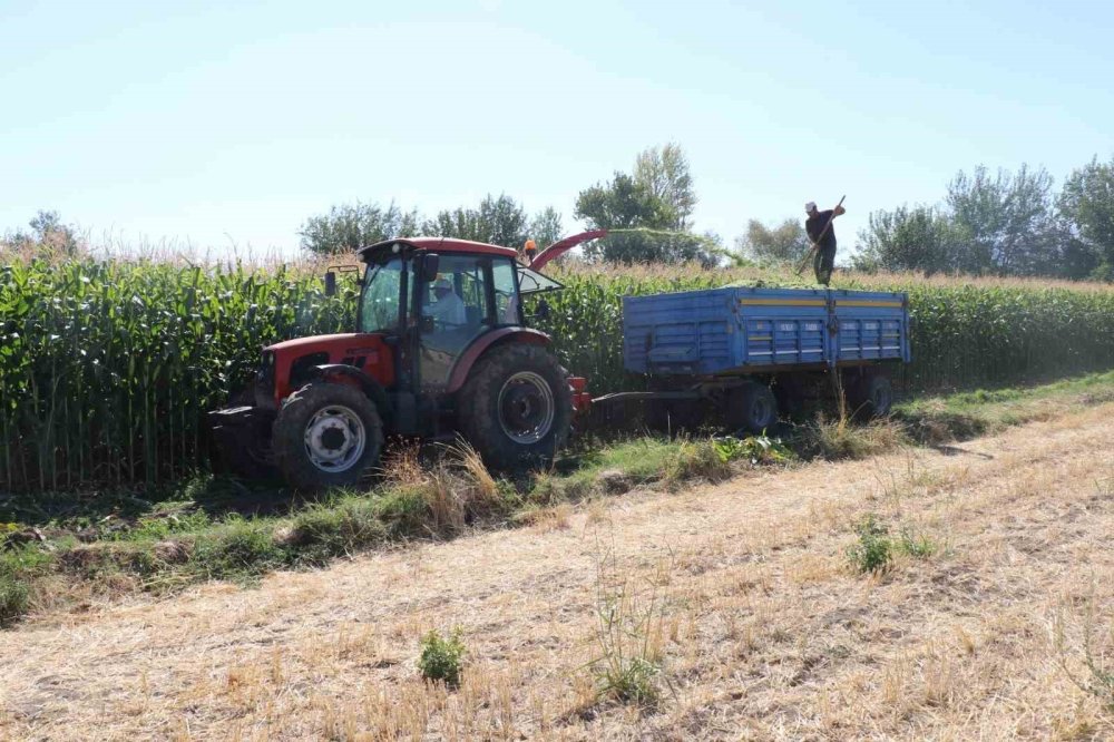 Elazığ’da Silajlık Mısır Hasat Etkinliği Gerçekleşti