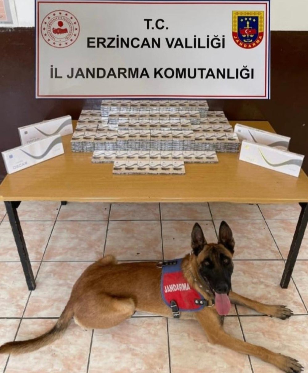 Erzincan’da Jandarma Birimleri Suça İzin Vermiyor