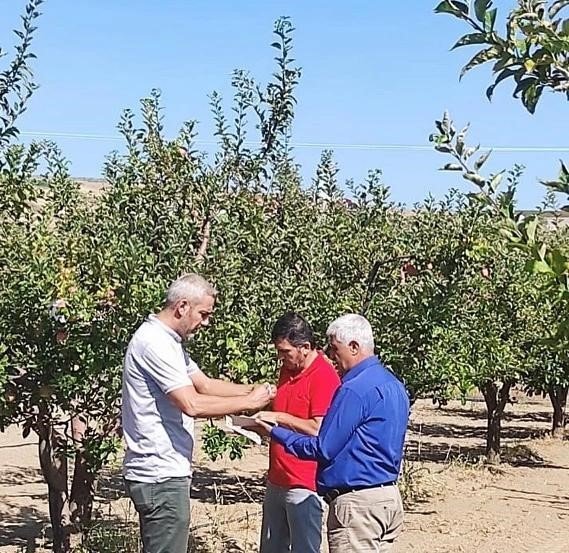 Tatvanlı Çiftçiler Yaşadı “Feromon Tuzağı”