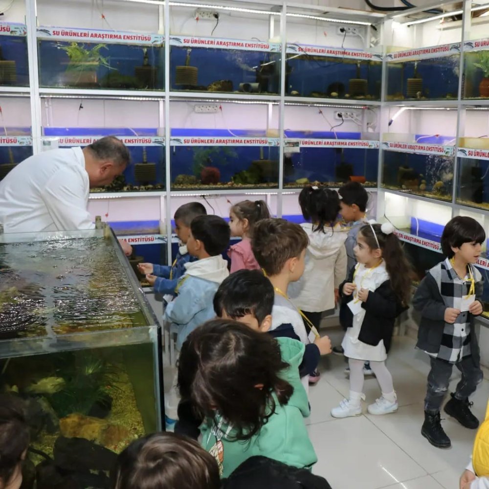 Elazığ’da Öğrenciler Balık Müzesini Dolaştı